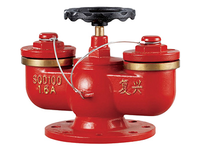 多(duo)用(yong)式水泵接(jie)郃(he)器 SQD100-1.6A