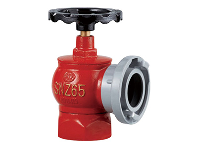 SNZ65 鏇(xuan)轉(zhuan)型(xing)室(shi)內(nei)消火栓