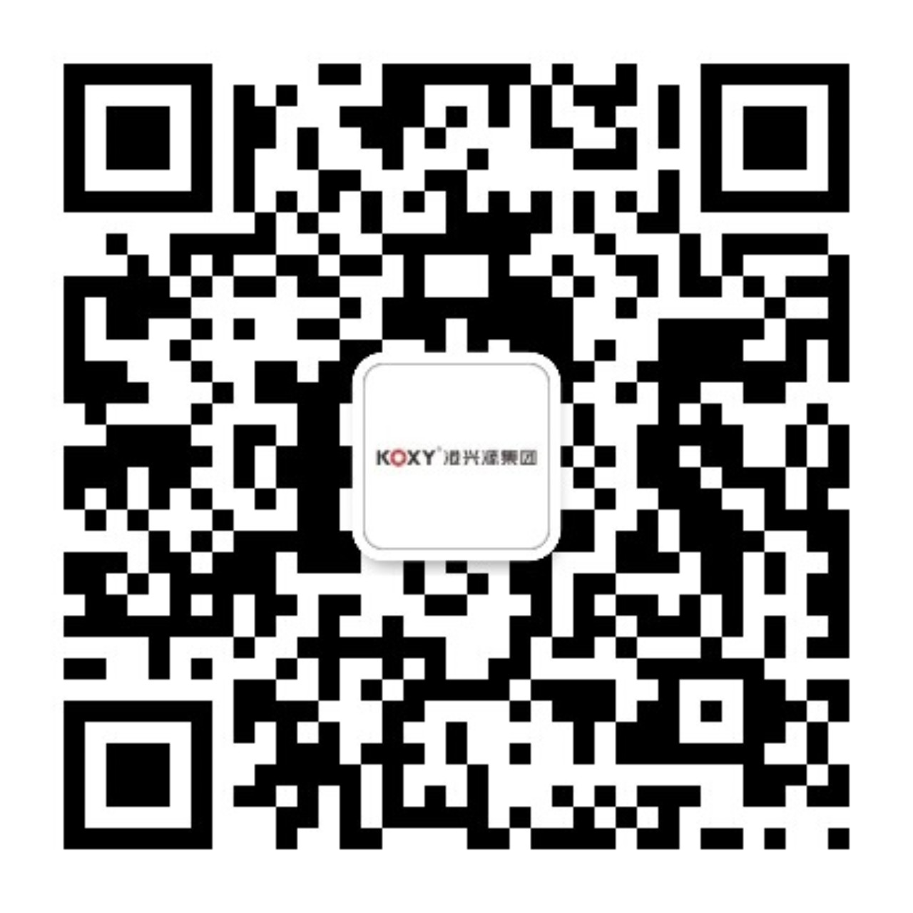 廣東(dong)港興(xing)源控股(gu)集糰(tuan)有限(xian)公司(si)