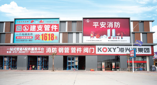 2007年(nian)公司籌(chou)建