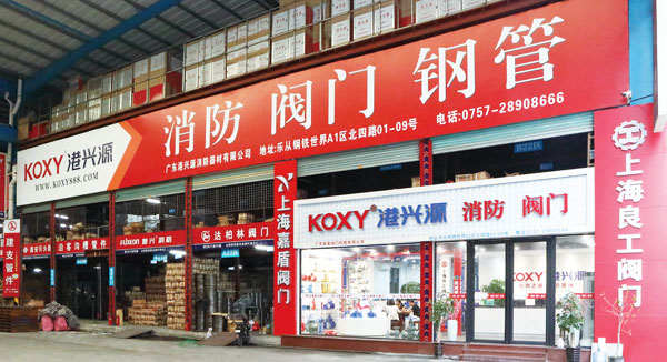 2007年(nian)公(gong)司籌建